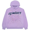 Sp5der Açaí Hoodie 'Purple'